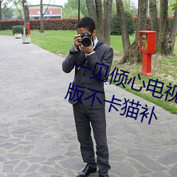 一见倾心电视剧全集免费观看完整版不卡猫补