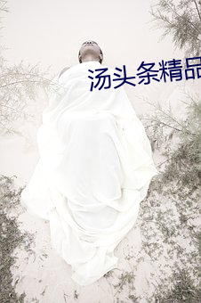 汤头条精品app二维码