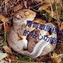 青青草原综合久久大伊人精品:无数的贴心功能在这里使用