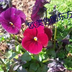 尊龙凯时-人生就是搏!