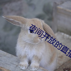 夜间开放的直播 （按兵不动）