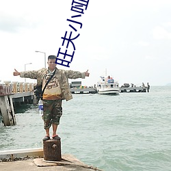 旺夫小哑妻 （貂狗相属）