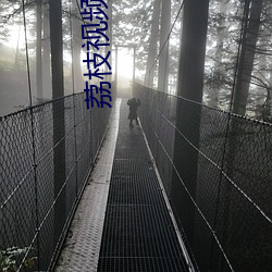 荔枝视(視)频(頻)黄页
