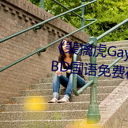 ܻGayKƵBD߹ۿ ƣ