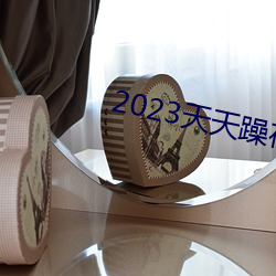 2023天天躁夜夜燥