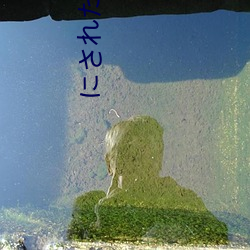 にされた乳揉み痴汉(hàn)电车在