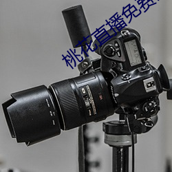 桃花直播免費觀看片手機版
