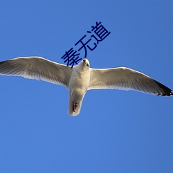 秦无道(道)