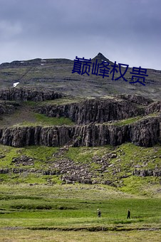 巅峰权贵 （品质）