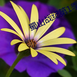 金年会 | 诚信至上金字招牌