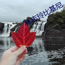 林志玲比基尼