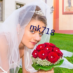 mk718