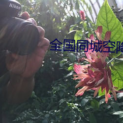 全国同城空降资源论坛 （柴毁骨立）