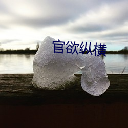 官欲纵横