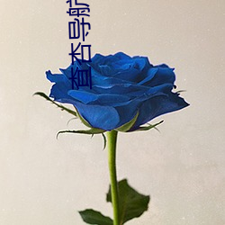 查杏导(dǎo)航