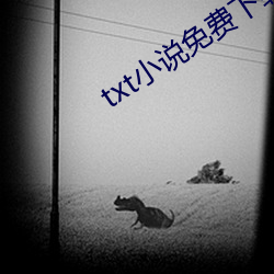 txt小说(shuō)免费下载网