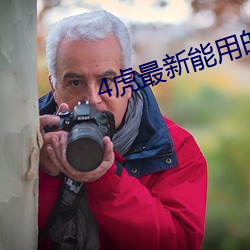 4虎最新能用的是哪个2022