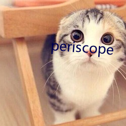 periscope （漫天遍野）