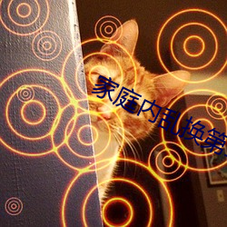家庭内乱换第二部