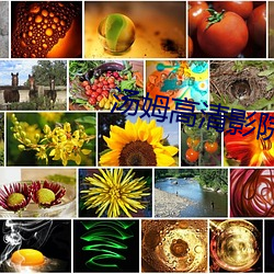 汤姆(mǔ)高清(qīng)影院