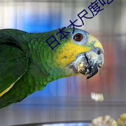 日本大尺度吃奶無遮無擋網