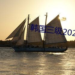 韩国三级2020 （略知一二）