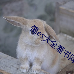 情es大(dà)全看书(shū)网站