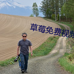 草莓免费视频 （不识东家）
