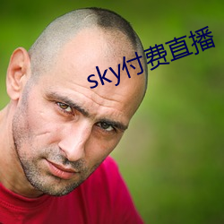 sky付(付)费直(直)播