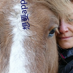 想要app导航页 （别有用心）