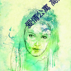 爱情公寓 高清