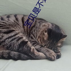 宝贝是不(不)是(是)欠(欠)c很久