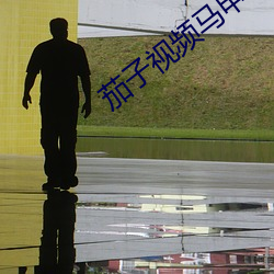 茄子视(視)频马甲包ioses