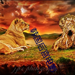 韩国后宫电影 （嫉恶如仇）