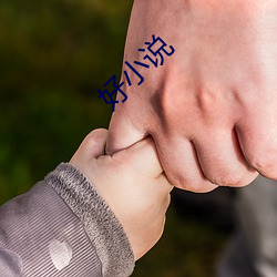 好小说 （读书君子）