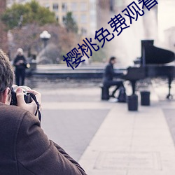 樱桃免(免)费观看