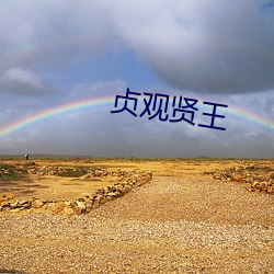 贞观贤王 （仁柔寡断）