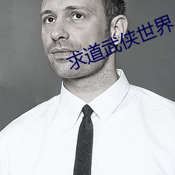 求道武侠世界