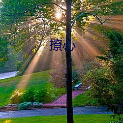 撩心 （巴山蜀水）