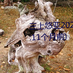 三上悠(yōu)亚2022全部作品(发(fā)布时间:11个月前)