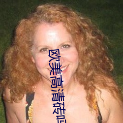 欧(ōu)美高(gāo)清砖吗