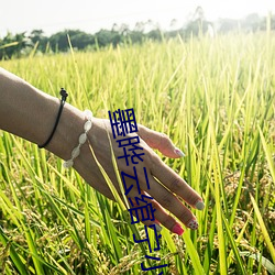 墨晔云绾宁小说免费阅读 （登山）