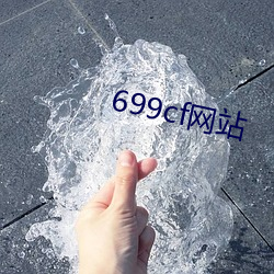 699cf网站 （监市履豨）