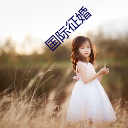 国(國)际征(征)婚