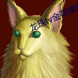 龙珠tv金荷律直播