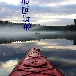 老年同志小说 （衮衮诸公）