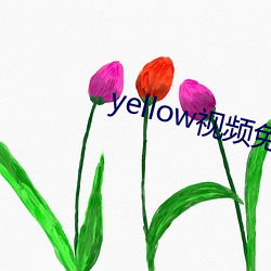 yellow視頻免費在線觀看