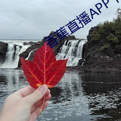 香蕉直(zhí)播APP下载