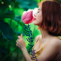 龙符(符)梦入(入)神机