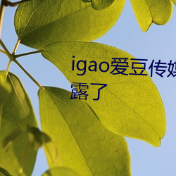 igao爱豆传媒网址已经被网友泄露了 （避面尹邢）